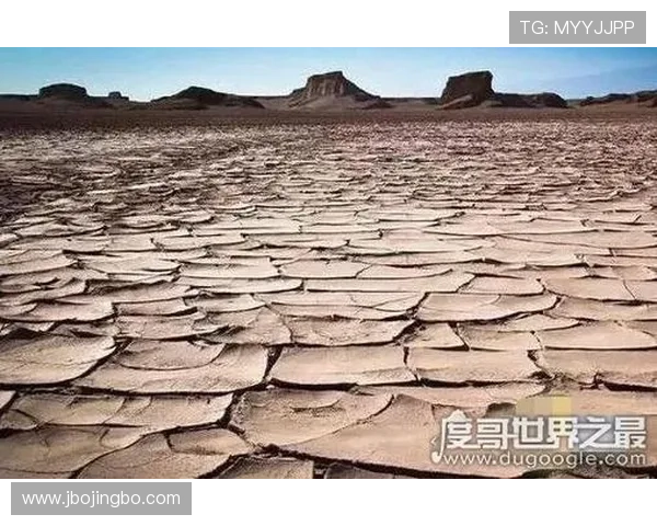 2026年突尼斯与荷兰比赛期间当地天气变化趋势及对比赛结果的潜在影响分析